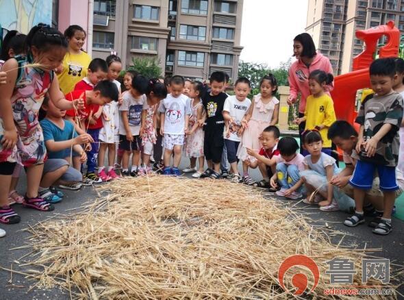 QQ截图20190617110533.jpg